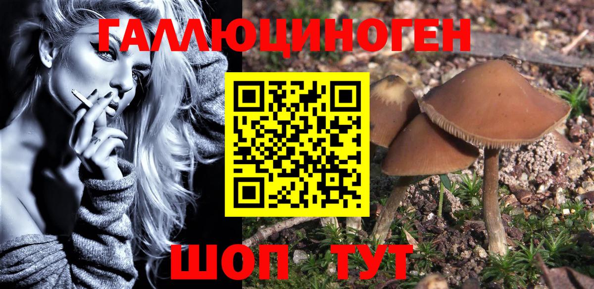 Асбест  Галлюциногенные грибы Psilocybe  Вход с VPN 